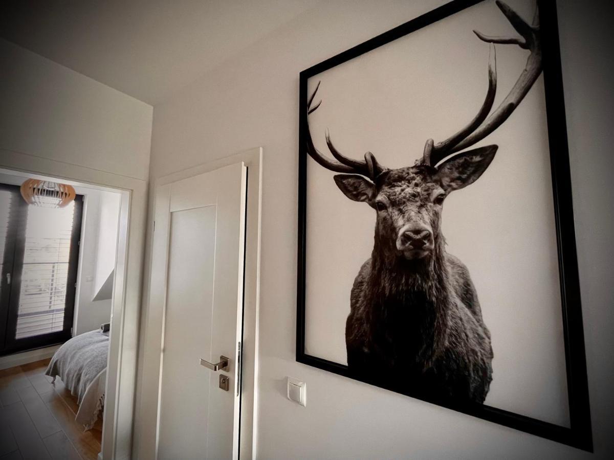 Lazy Deer - Apartamenty Jelenia Gora Dış mekan fotoğraf